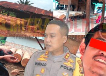 ILEGAL LOGGING: Beberapa dokumentasi kegiatan pengolahan kayu ilegal hasil perambahan hutan di sawmill milik Panjuse di Desa Simalinyang, Kecamatan Kampar Kiri Tengah, Kabupaten Kampar beserta foto salah satu pelaksana/pengawas yang ditemui di lokasi sawmill (foto paling kanan). (Foto: Dok/Mitrapolri.com)
